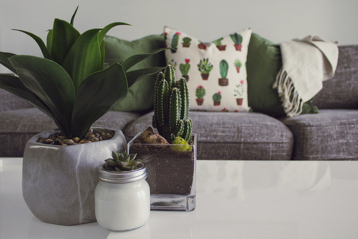 Furniture & Home Accents