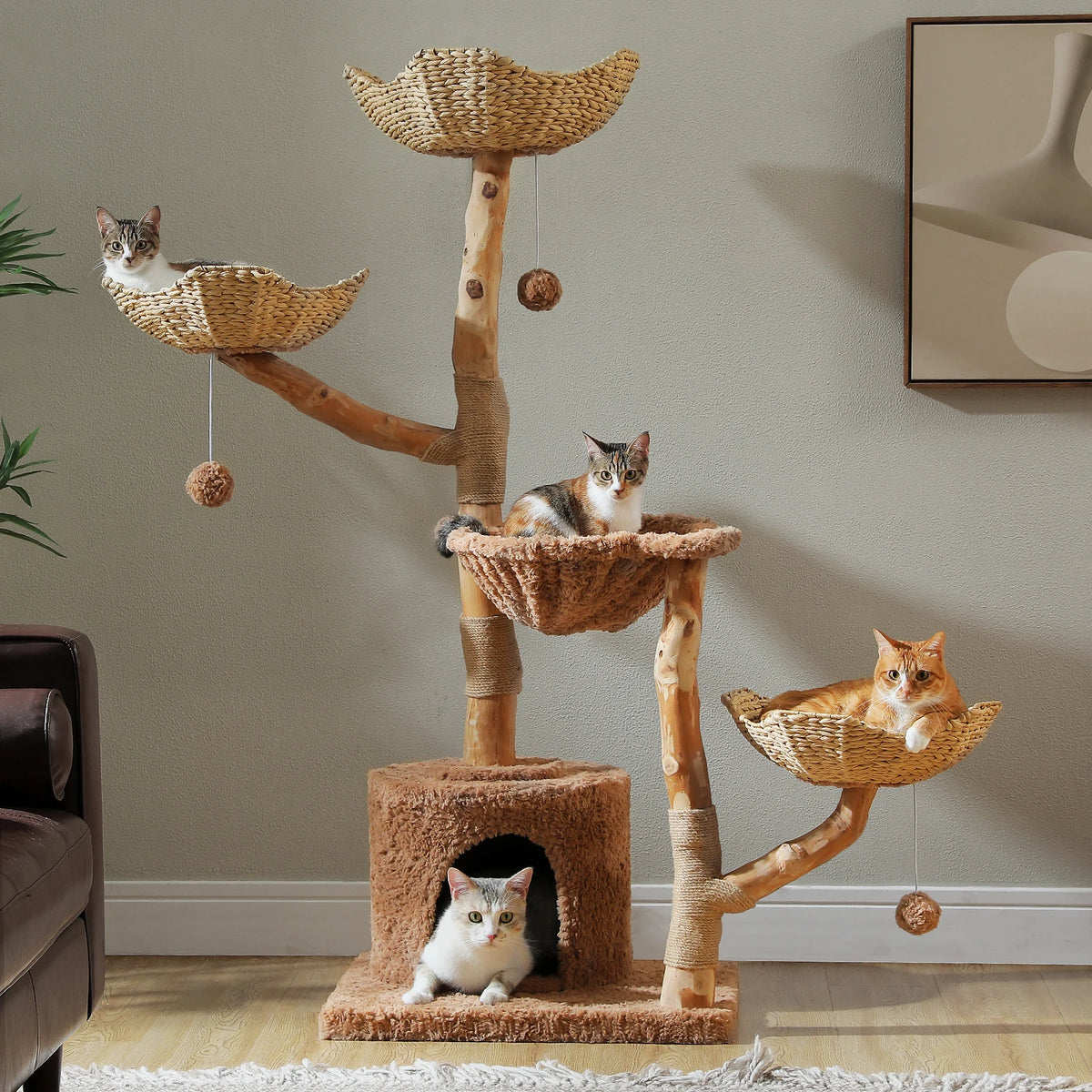 PAWZ Road Indoor Cat Condo Featuring Sisal Scratcher And Basket