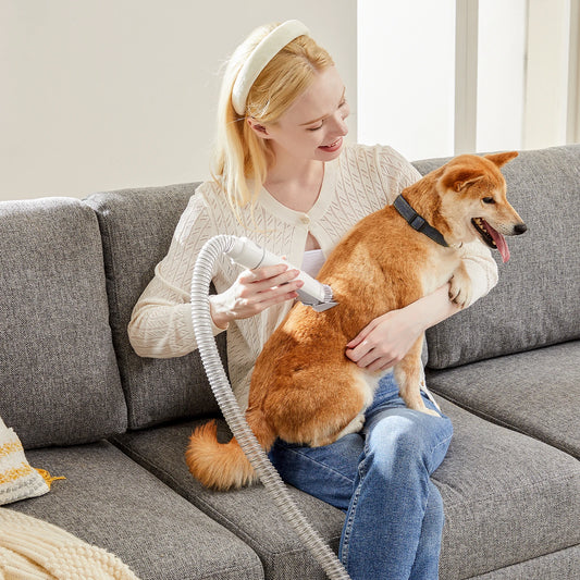 Professional Cordless Pet Grooming Vacuum Kit With Quiet Clippers