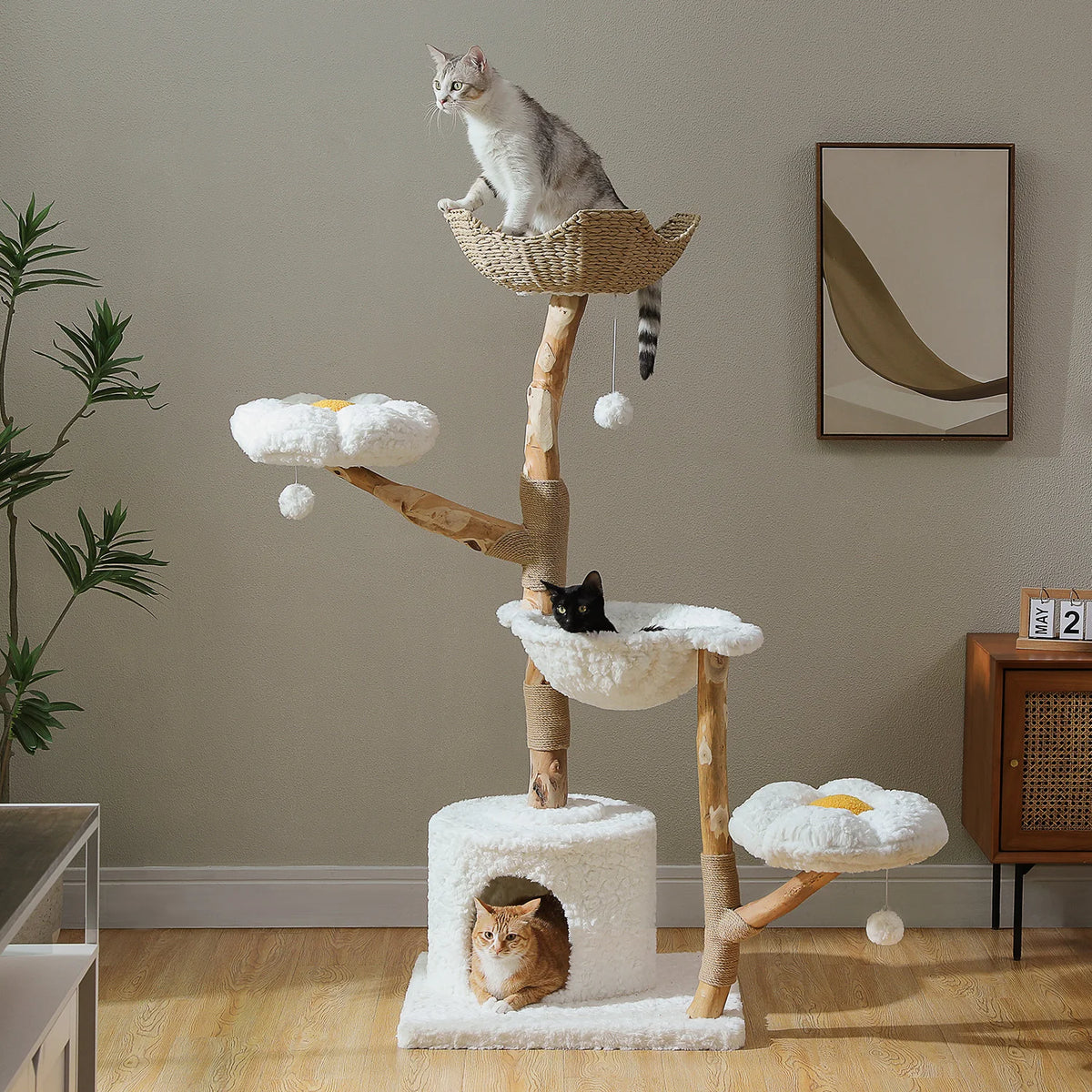 PAWZ Road Indoor Cat Condo Featuring Sisal Scratcher And Basket