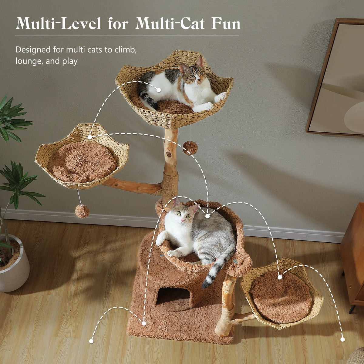 PAWZ Road Indoor Cat Condo Featuring Sisal Scratcher And Basket