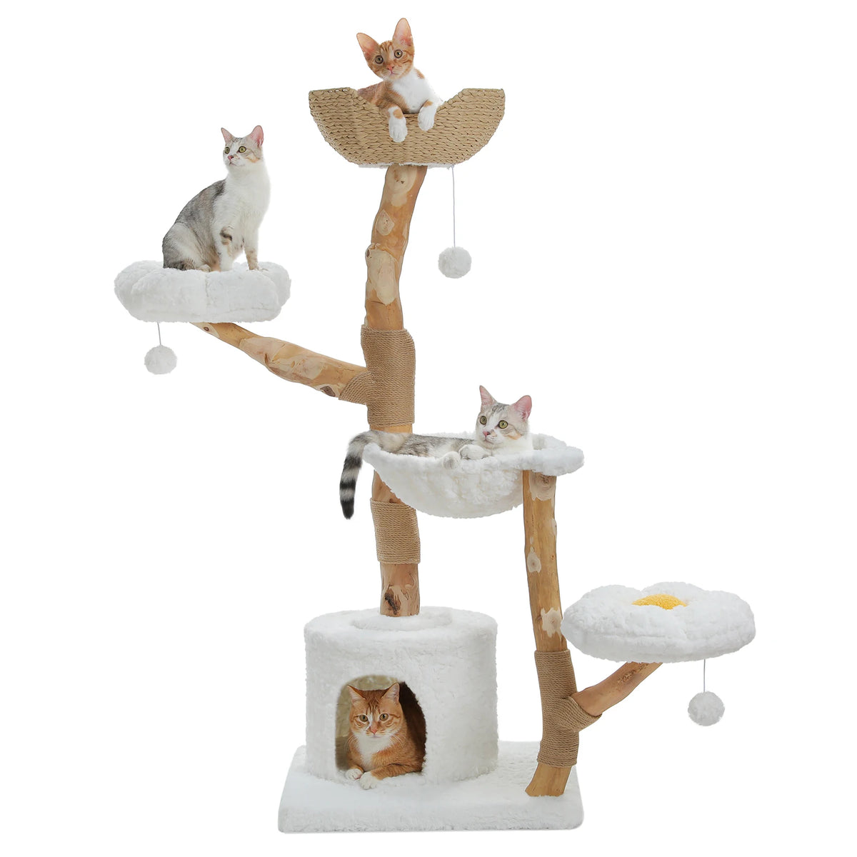 PAWZ Road Indoor Cat Condo Featuring Sisal Scratcher And Basket
