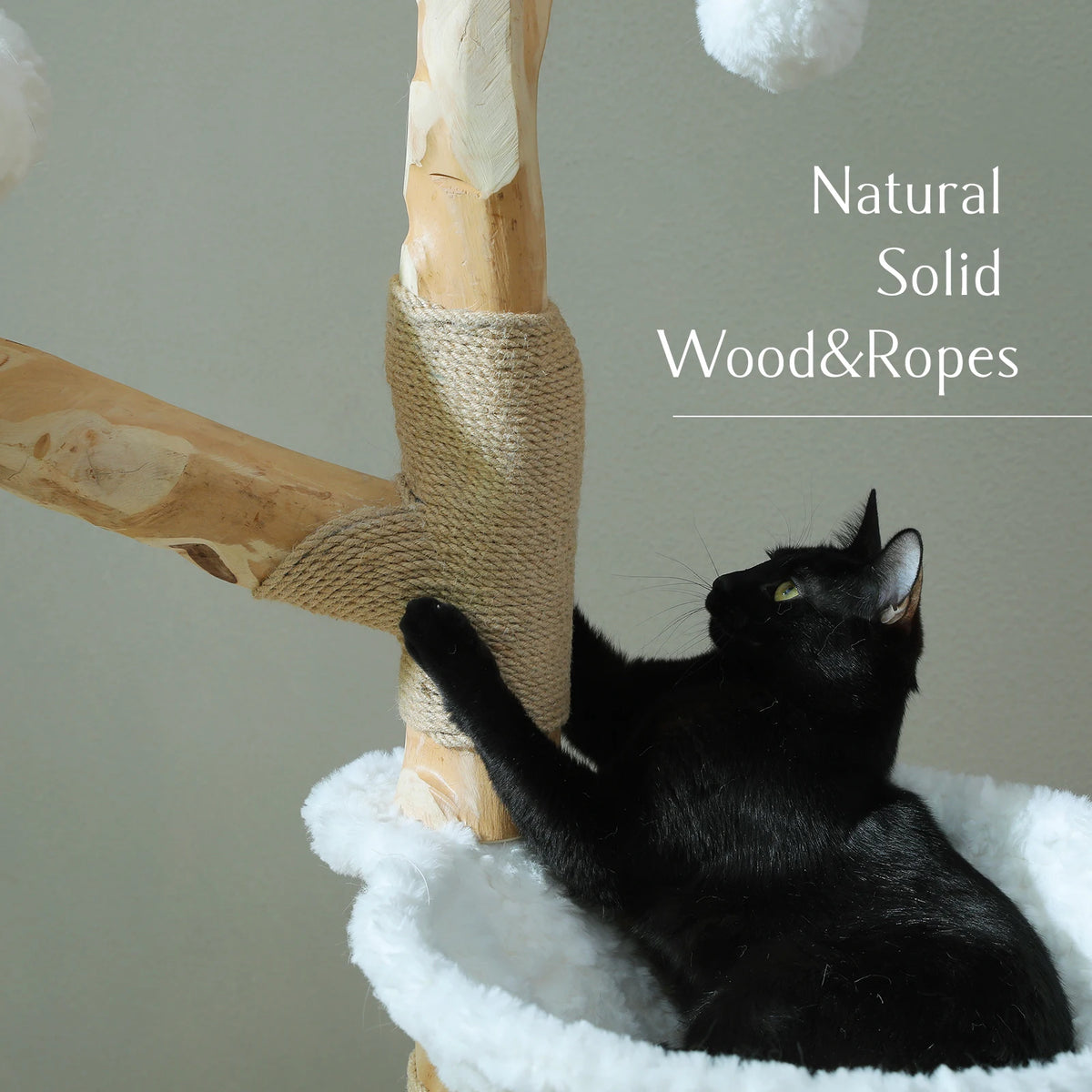 PAWZ Road Indoor Cat Condo Featuring Sisal Scratcher And Basket
