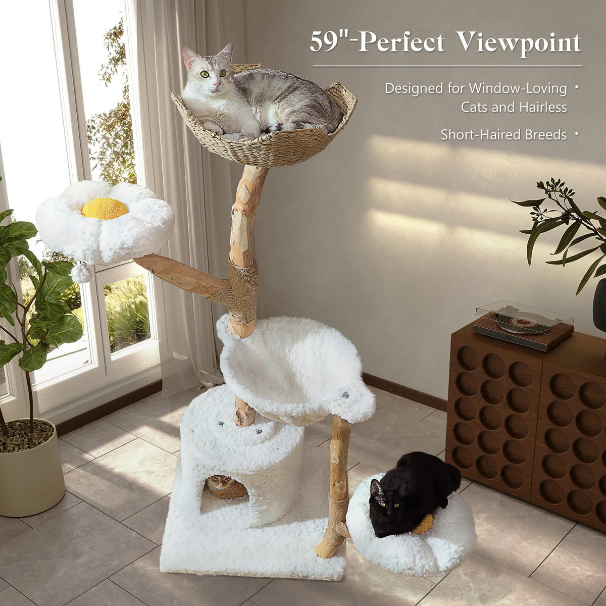 PAWZ Road Indoor Cat Condo Featuring Sisal Scratcher And Basket