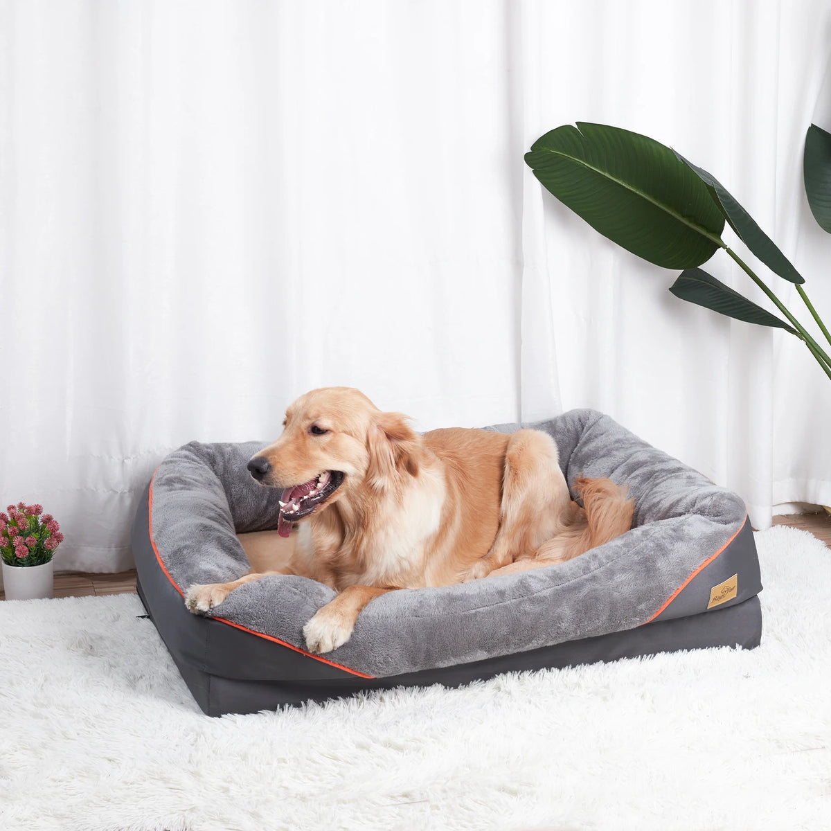 BINGOPAW Soft Dog Bed With Removable Washable Waterproof Cover