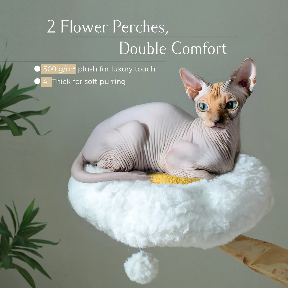 PAWZ Road Indoor Cat Condo Featuring Sisal Scratcher And Basket